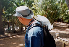 ... der Rei&szlig;verschlu&szlig; war schon offen