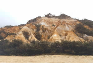 The Pinnacles